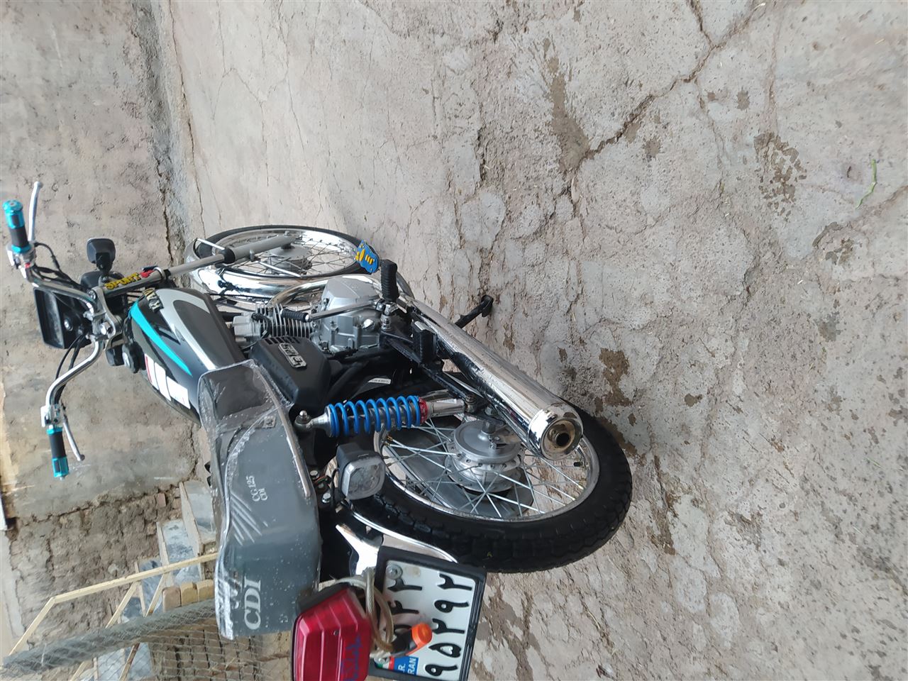 بدون عکس