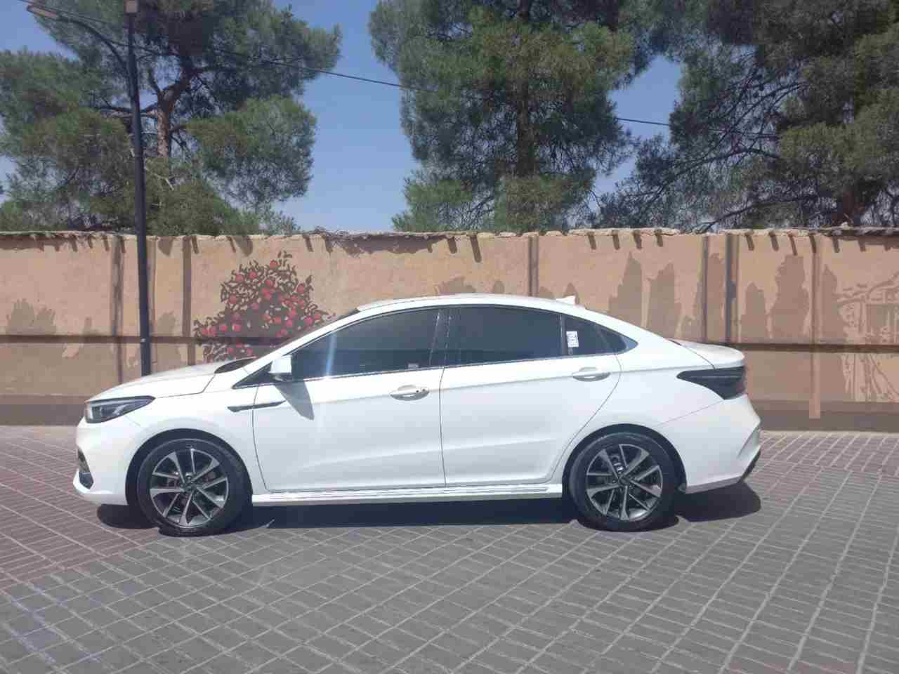 بدون عکس