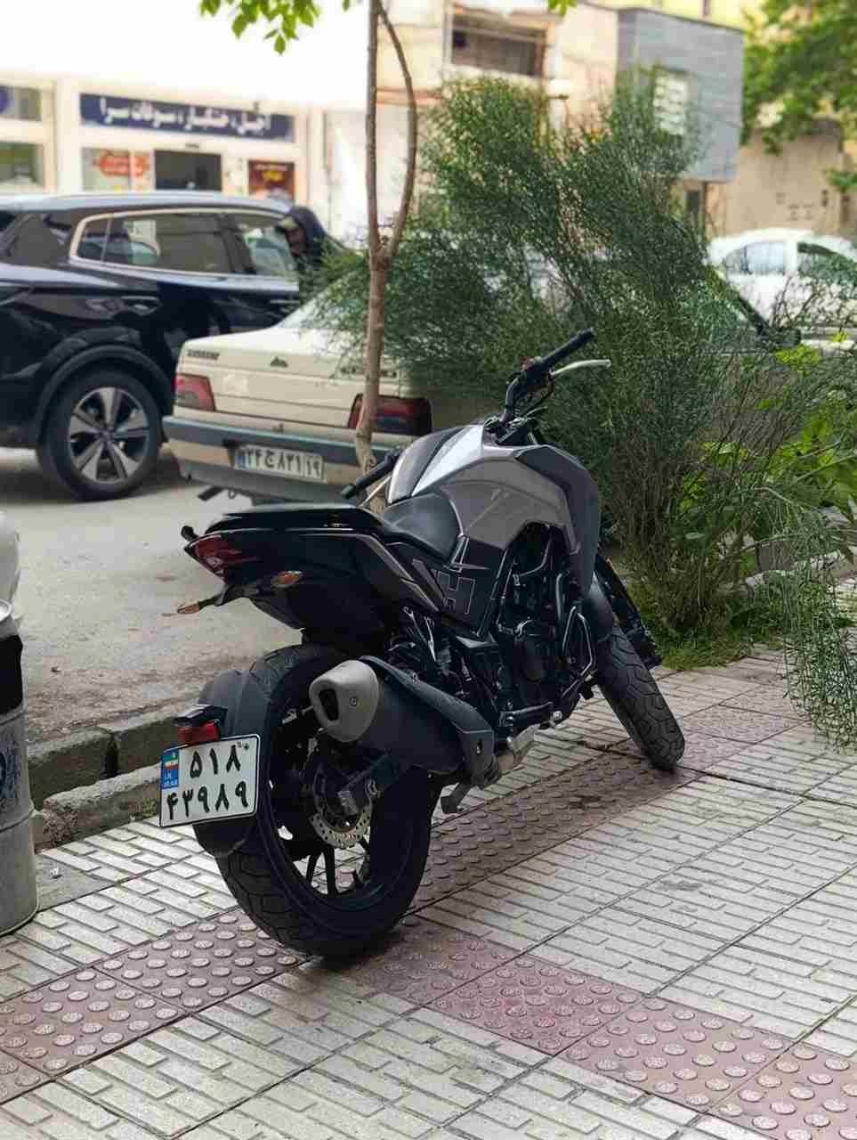 بدون عکس