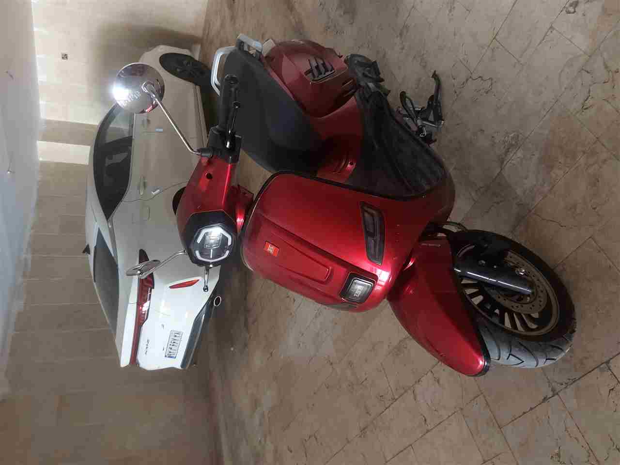 بدون عکس