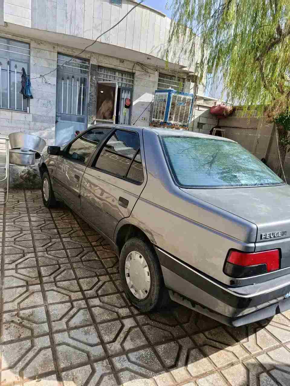 بدون عکس