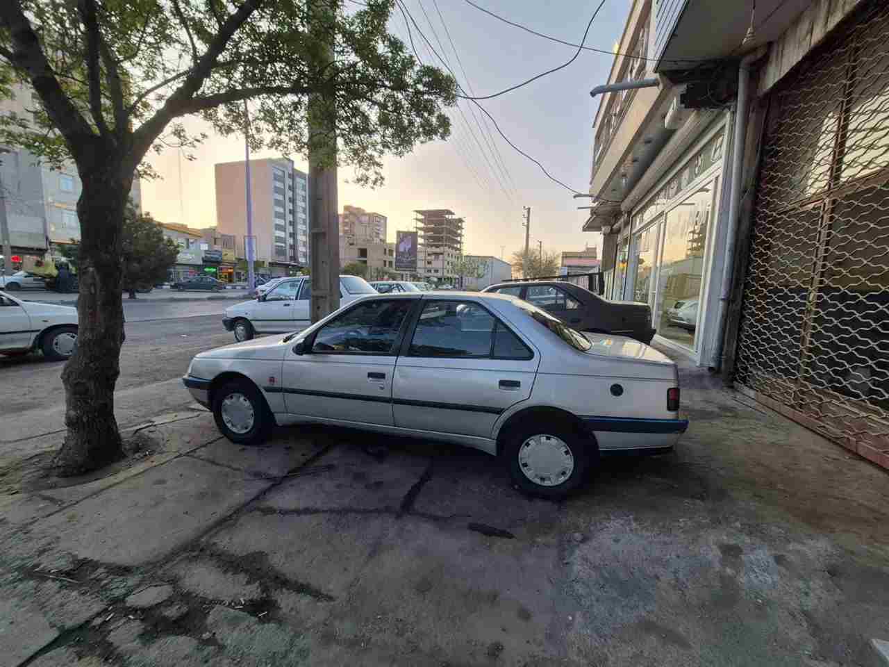 بدون عکس