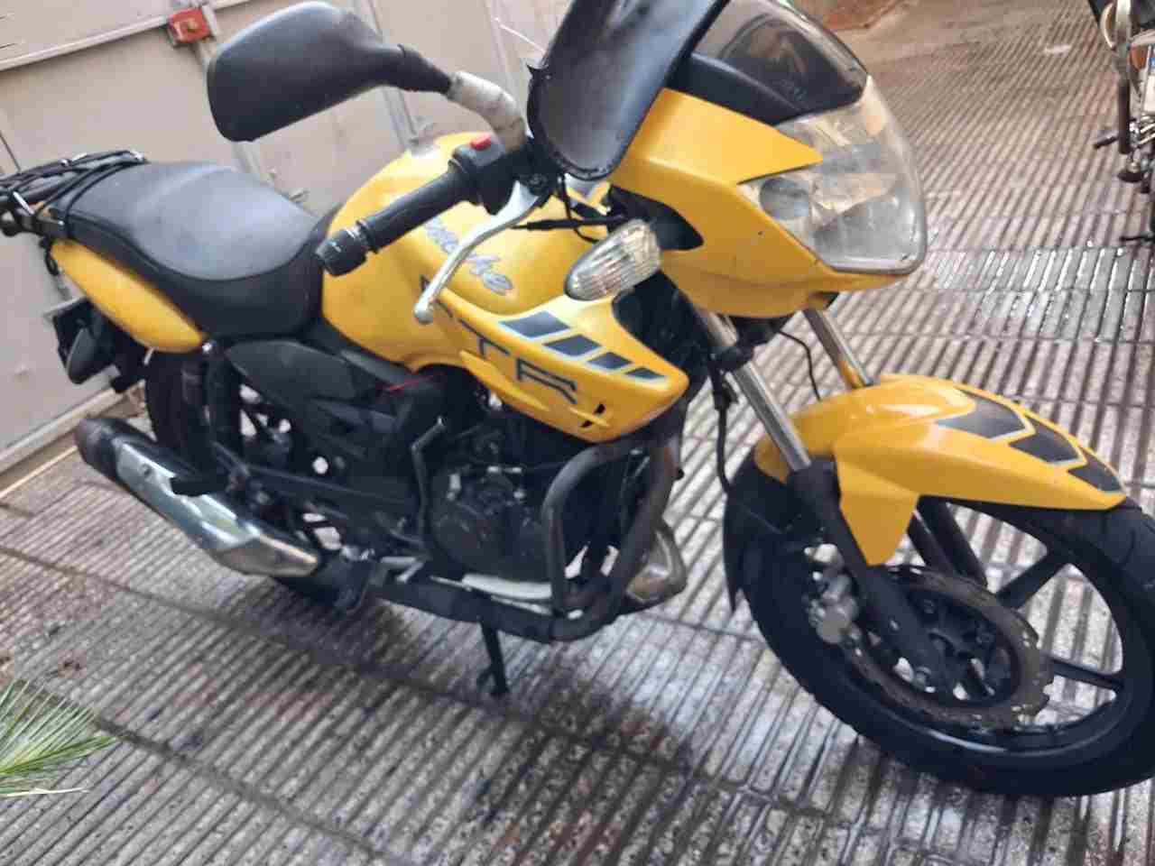 بدون عکس