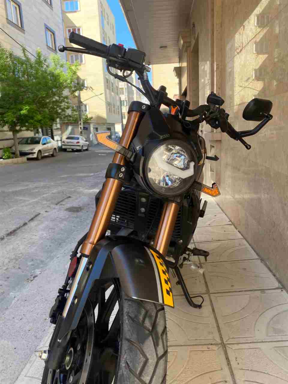 بدون عکس