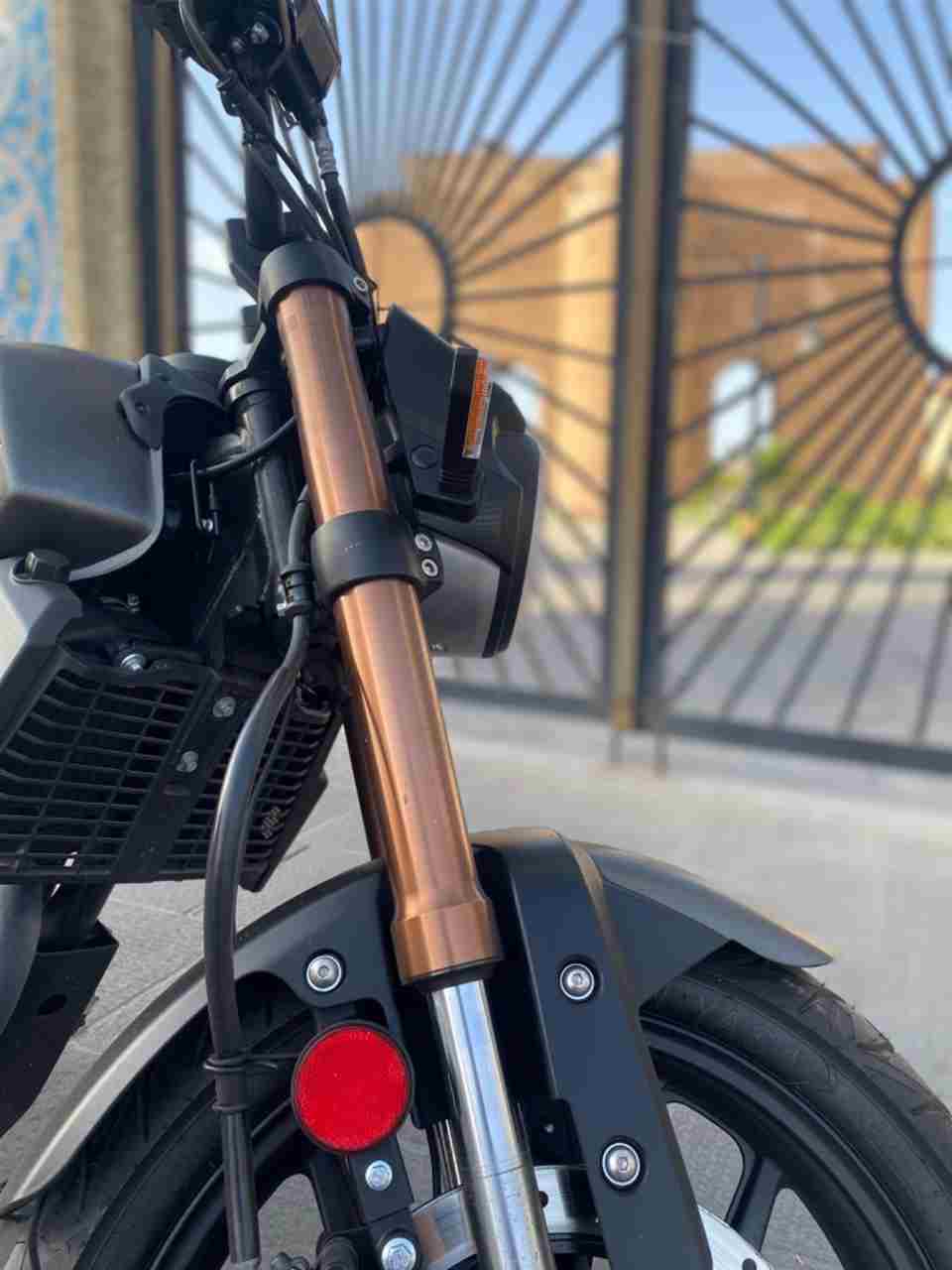 بدون عکس
