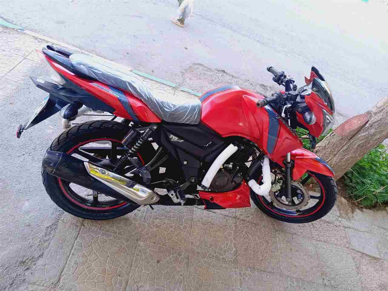 بدون عکس