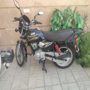 تی وی اس , استار HLX 150 , 1404