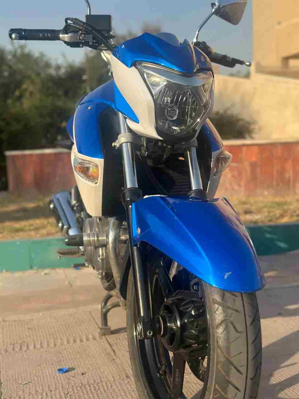 بدون عکس