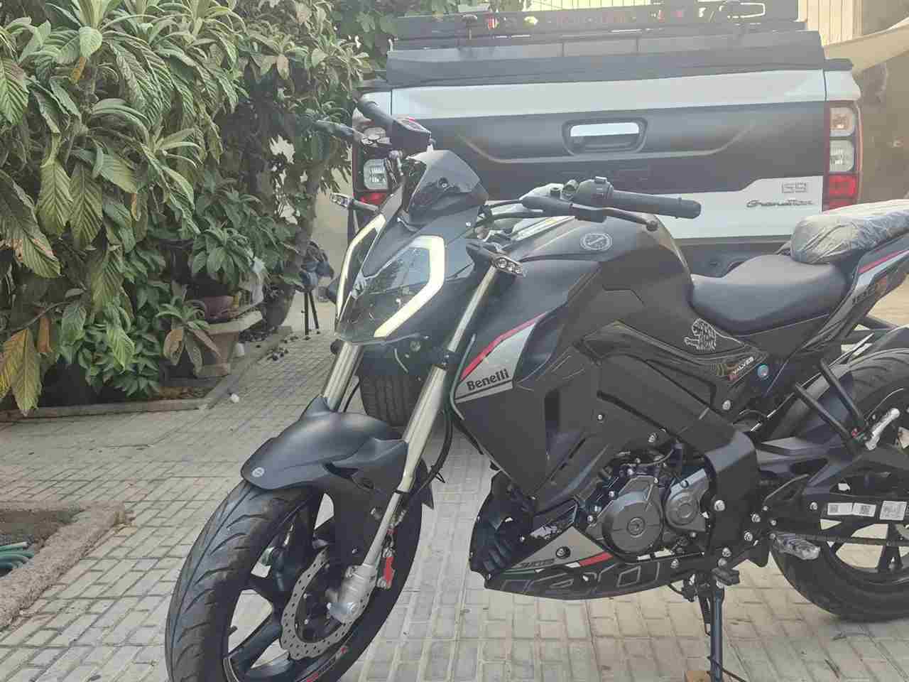 بدون عکس