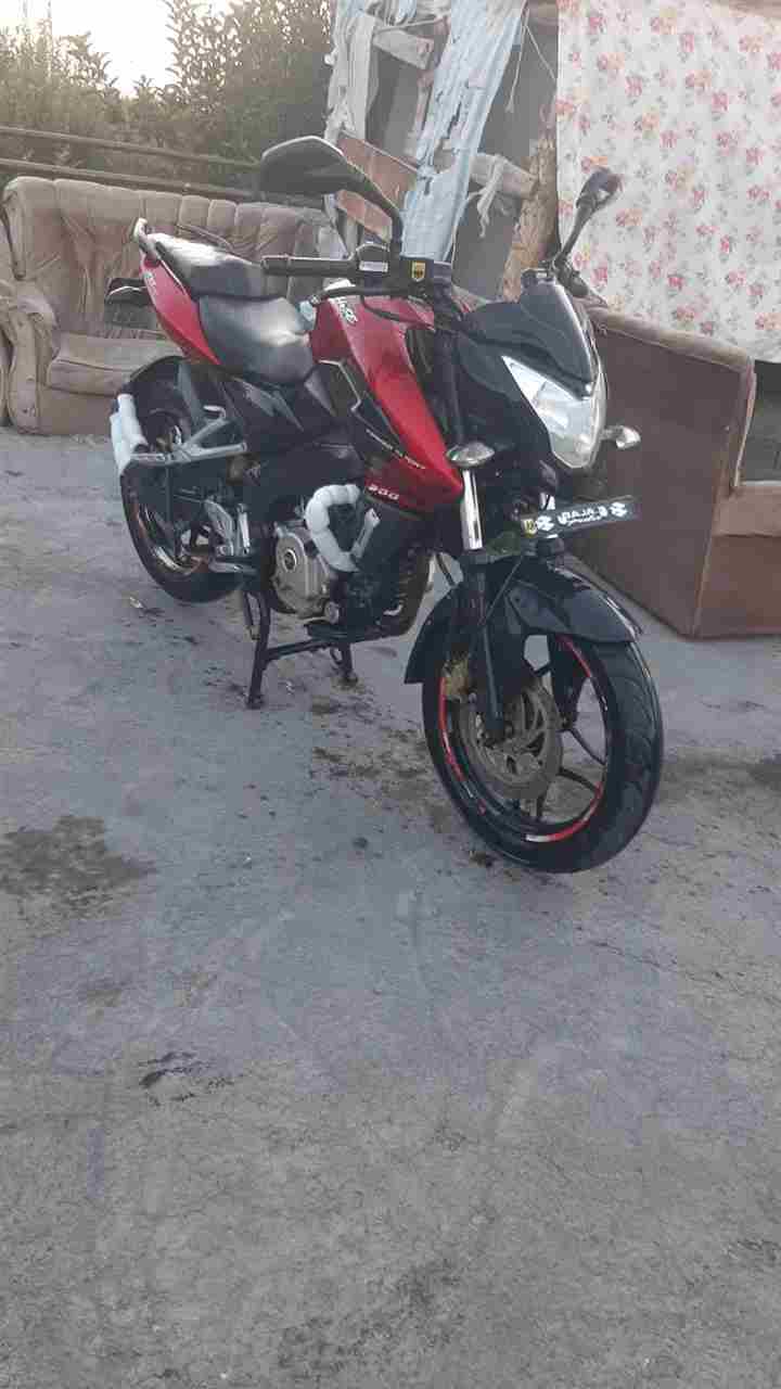 بدون عکس