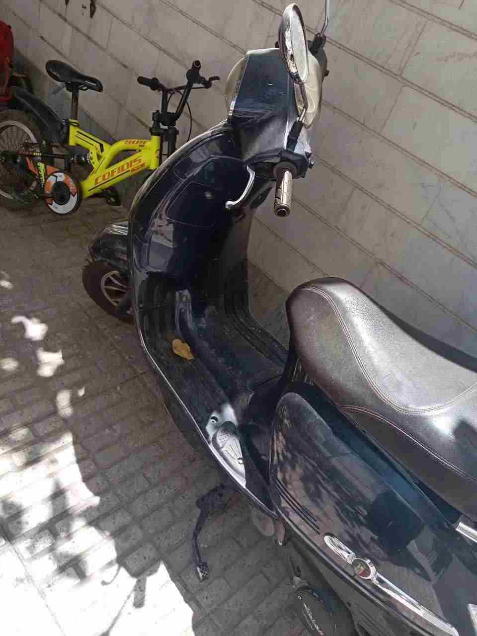 بدون عکس