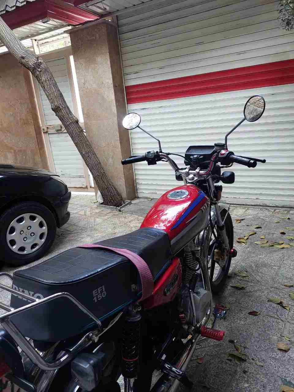 بدون عکس