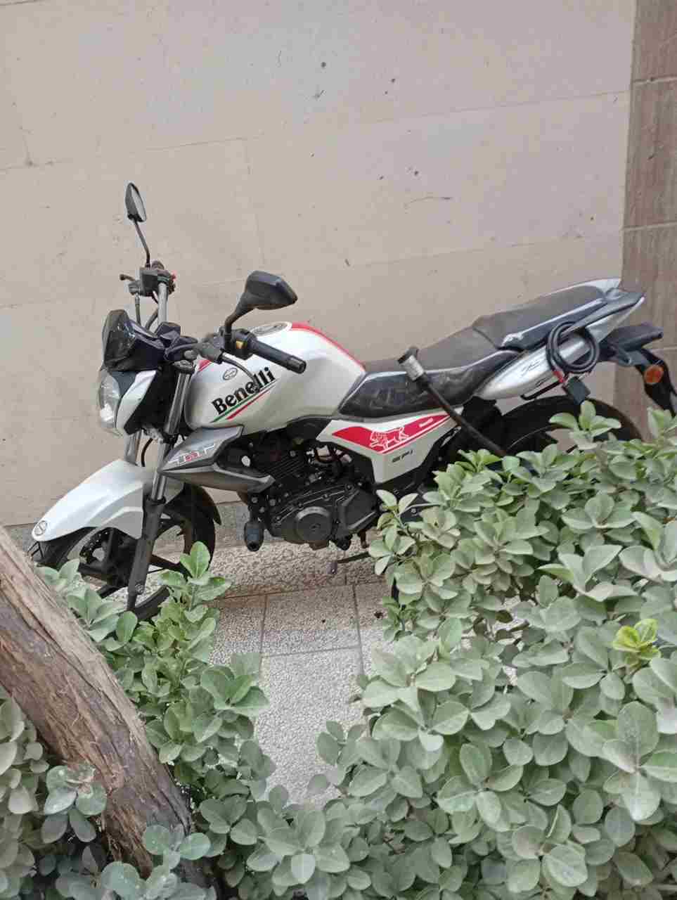 بدون عکس